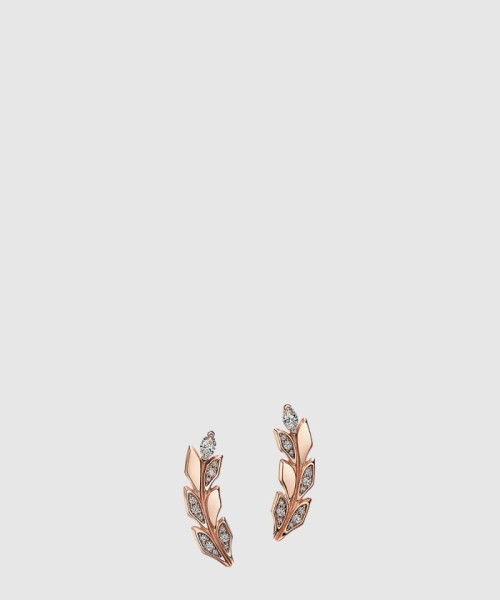 [TIFFANY-티파니]바인 클라이머 귀걸이