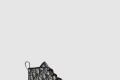 [DIOR-디올]B23 하이탑 스니커즈 3SH12