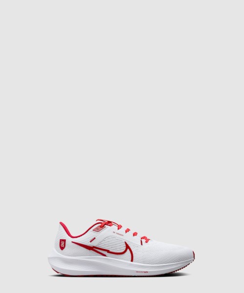 [NIKE-나이키]페가수스 40 FJ2844